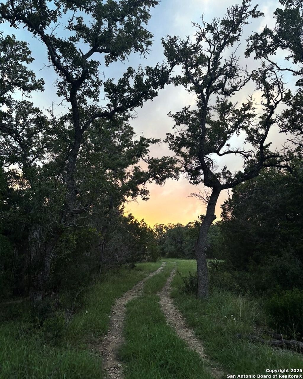 Photo of 1 Bergwald, Bulverde, TX 78163 (MLS # 1874449)