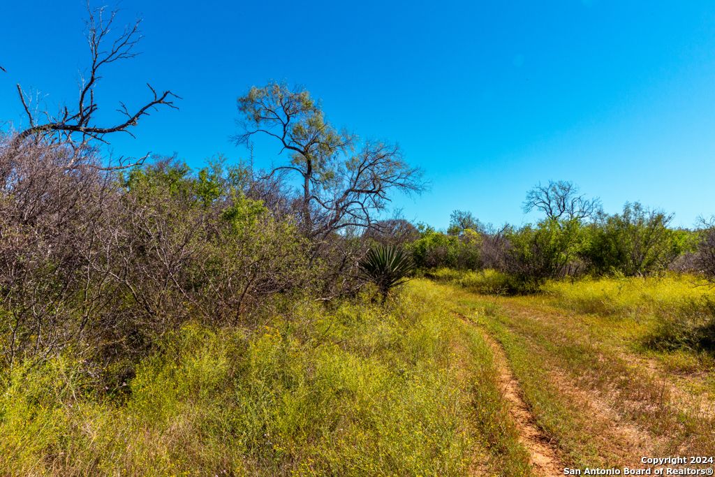 Photo of CR 661 661, Devine, TX 78016 (MLS # 1861427)