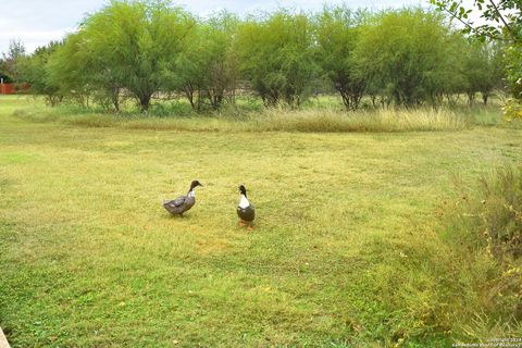 A home in Cibolo