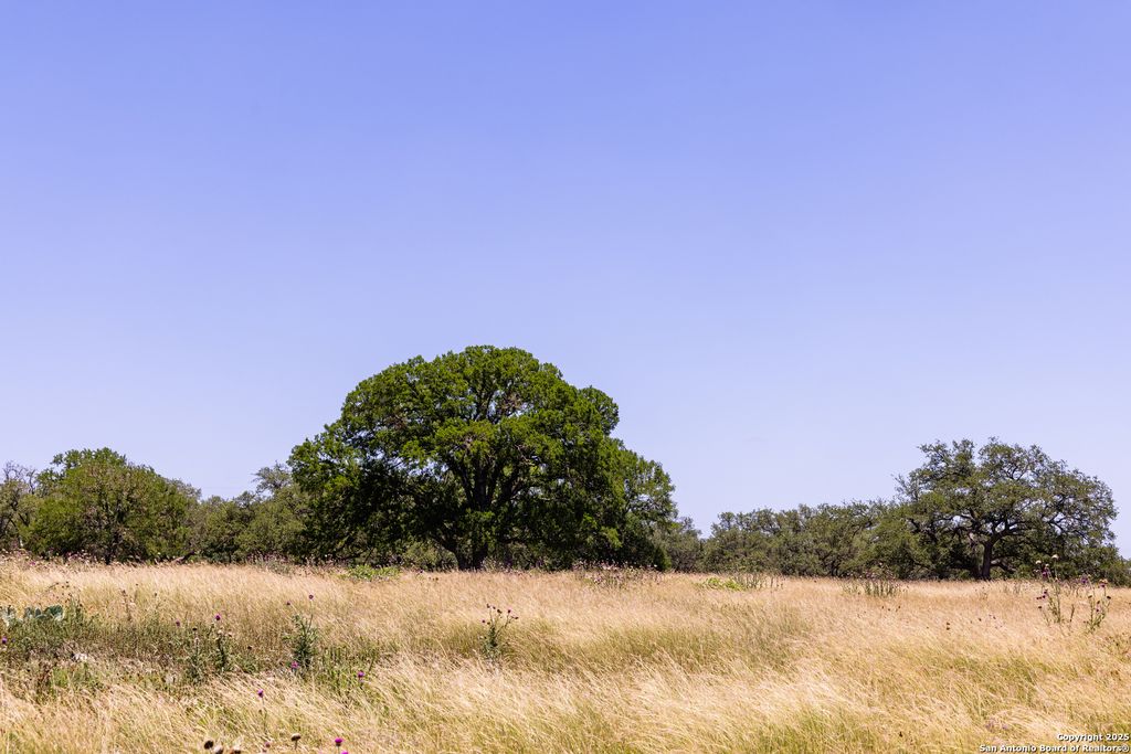 Photo of 190 Jones, Kerrville, TX 78028 (MLS # 1881656)