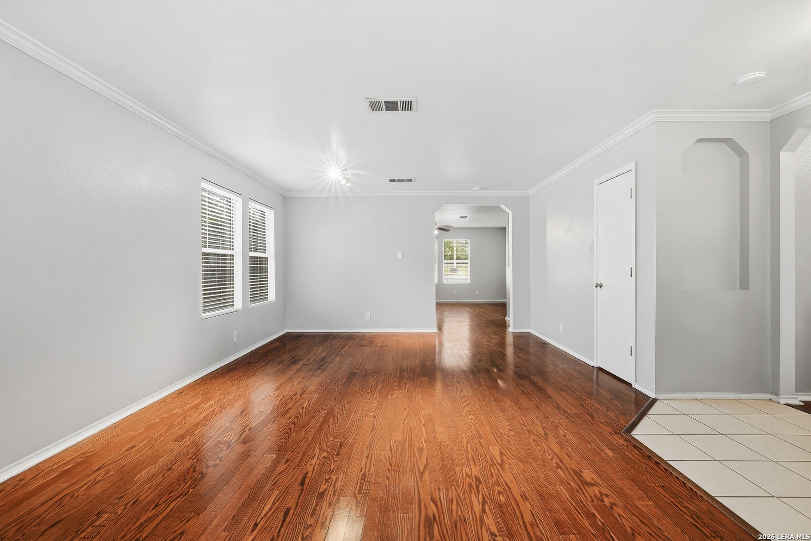 230 Blue Juniper