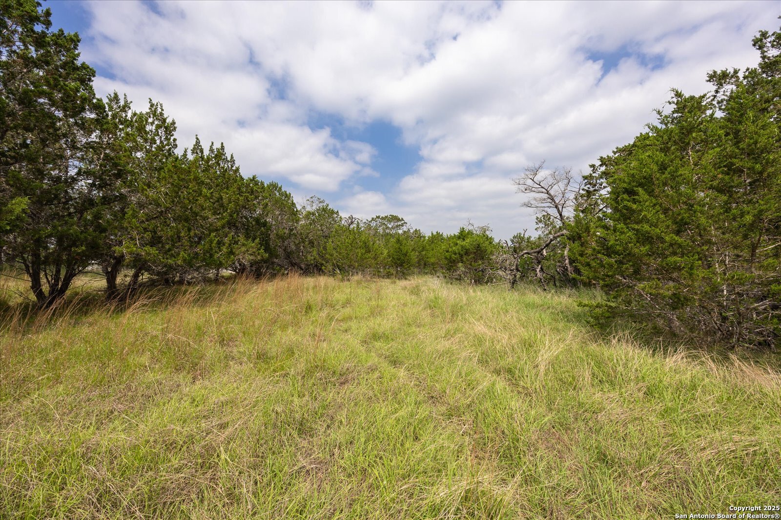 000 Oakridge Trail
