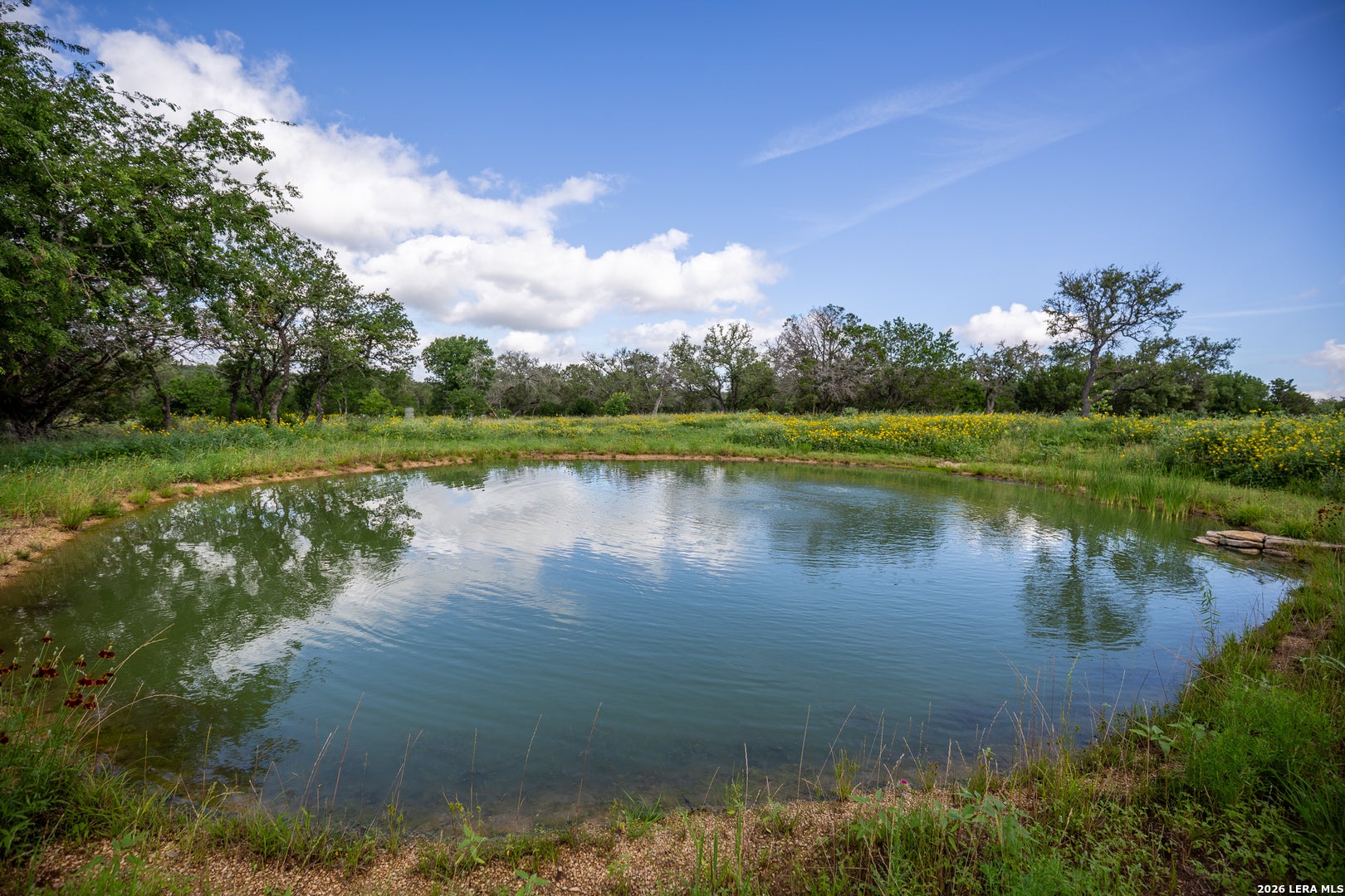 395 Bluff Creek