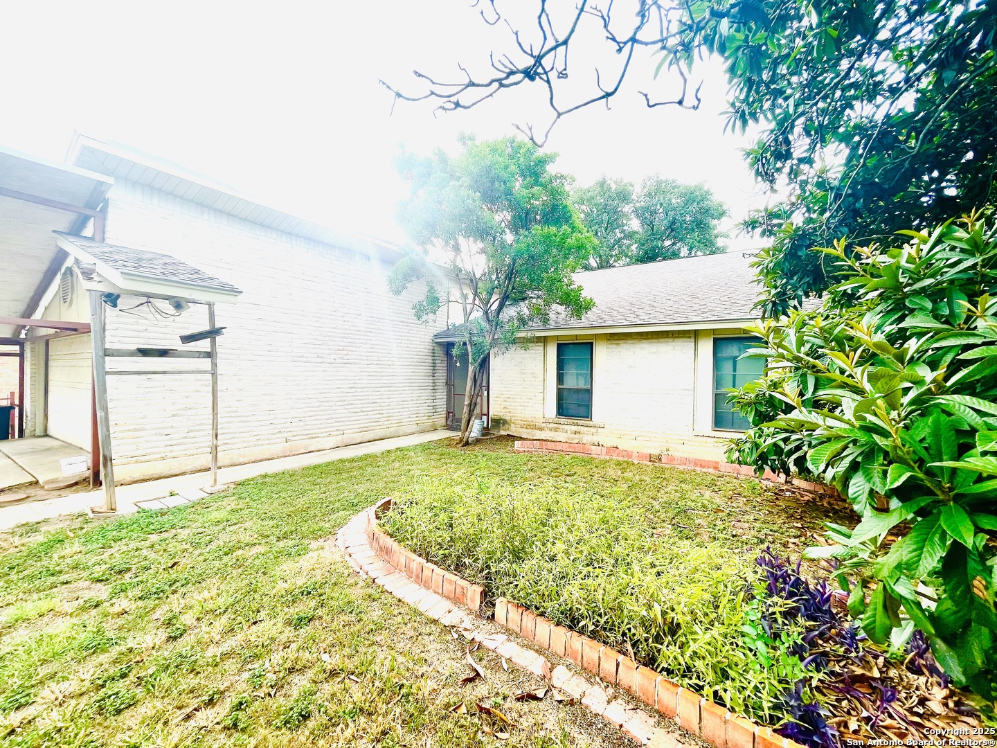 11411 Woollcott