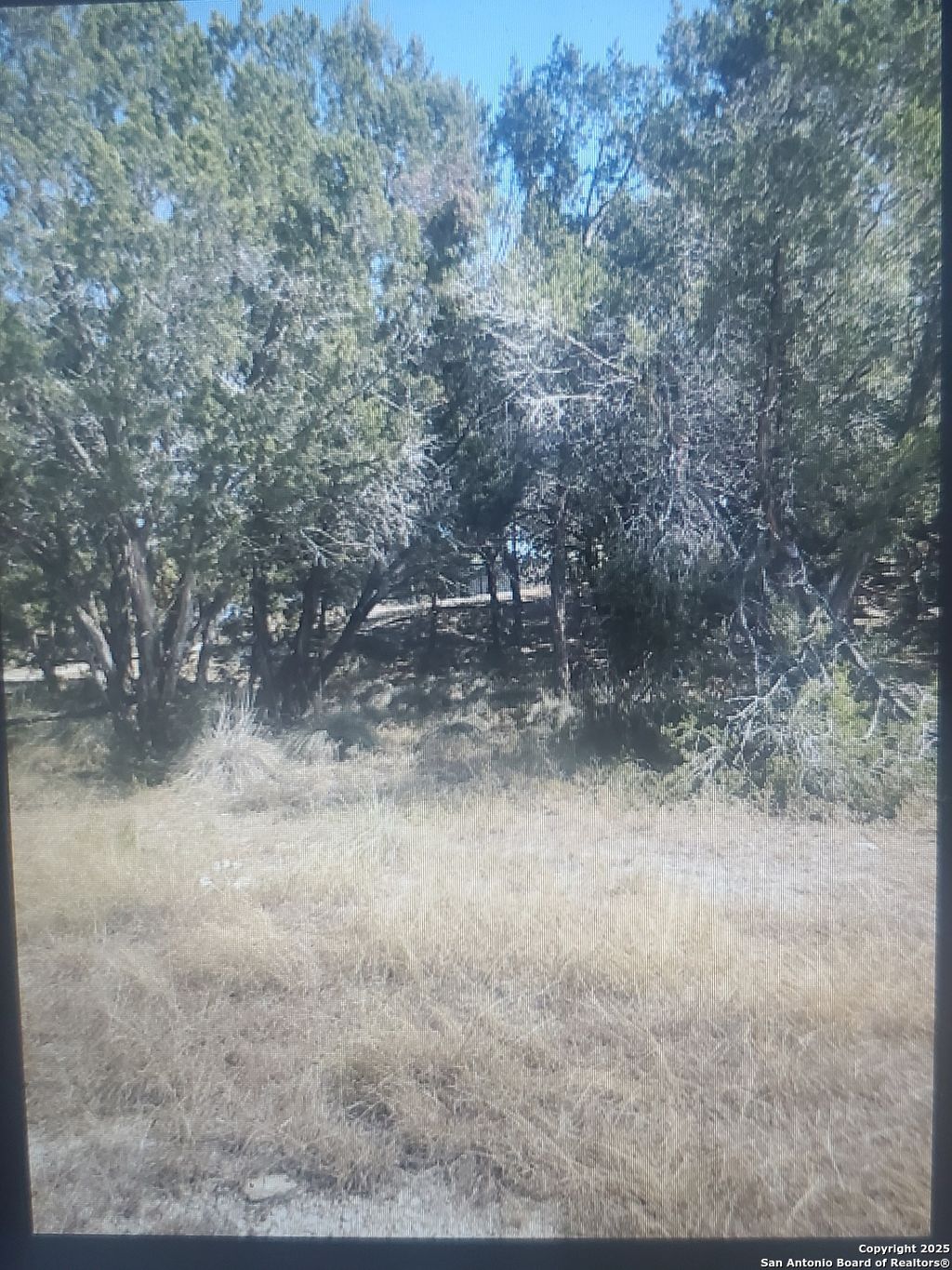 Photo of 1132 Pecan, Canyon Lake, TX 78133 (MLS # 1914920)