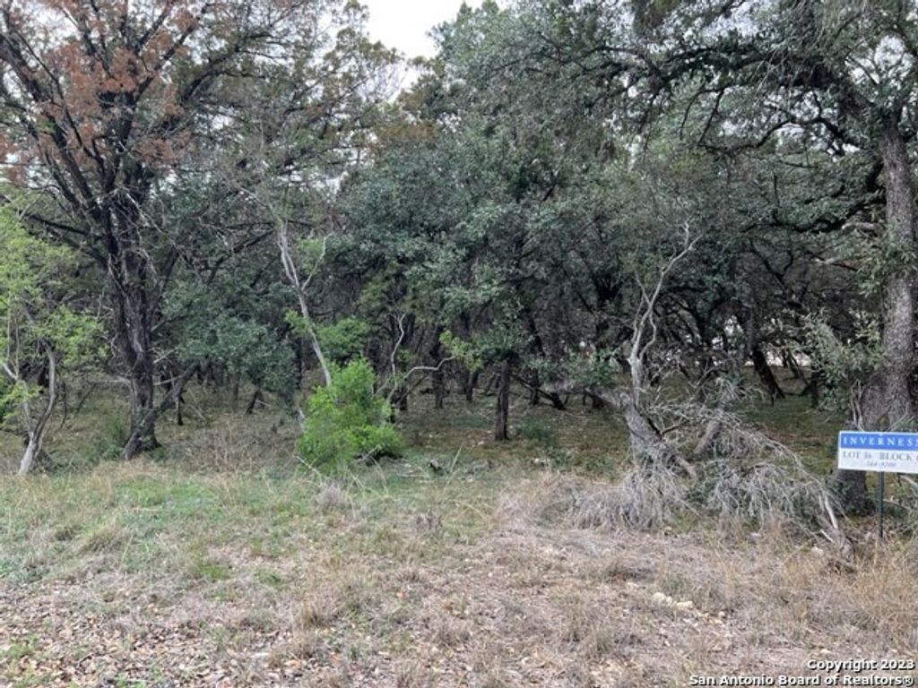 Photo of 122 Tremaine, San Antonio, TX 78230 (MLS # 1673129)