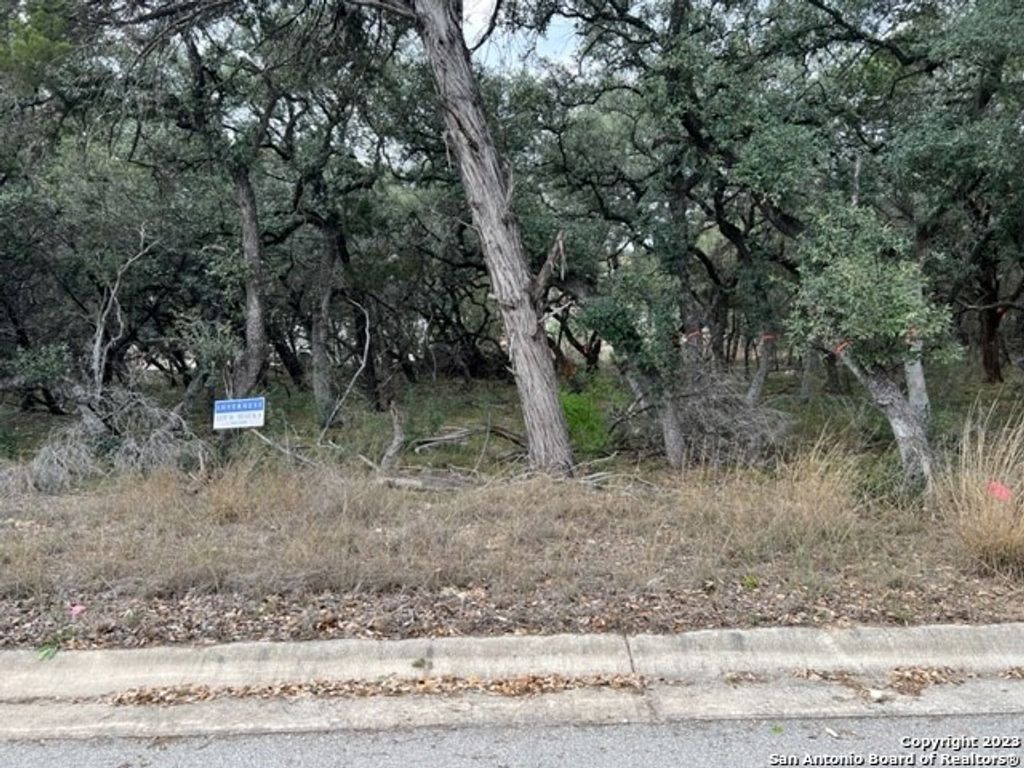 Photo of 122 Tremaine, San Antonio, TX 78230 (MLS # 1673129)