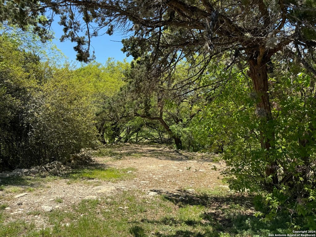 Photo of 56 Eton Green Cir, San Antonio, TX 78257 (MLS # 1762620)