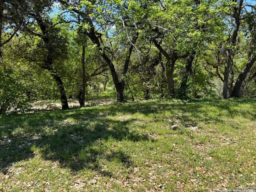 Photo of 56 Eton Green Cir, San Antonio, TX 78257 (MLS # 1762620)