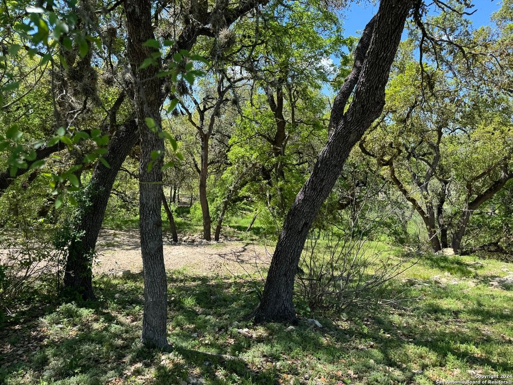 Photo of 56 Eton Green Cir, San Antonio, TX 78257 (MLS # 1762620)