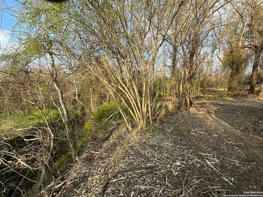 Photo of 126 S TEJEDA LN, Floresville, TX 78114 (MLS # 1889222)