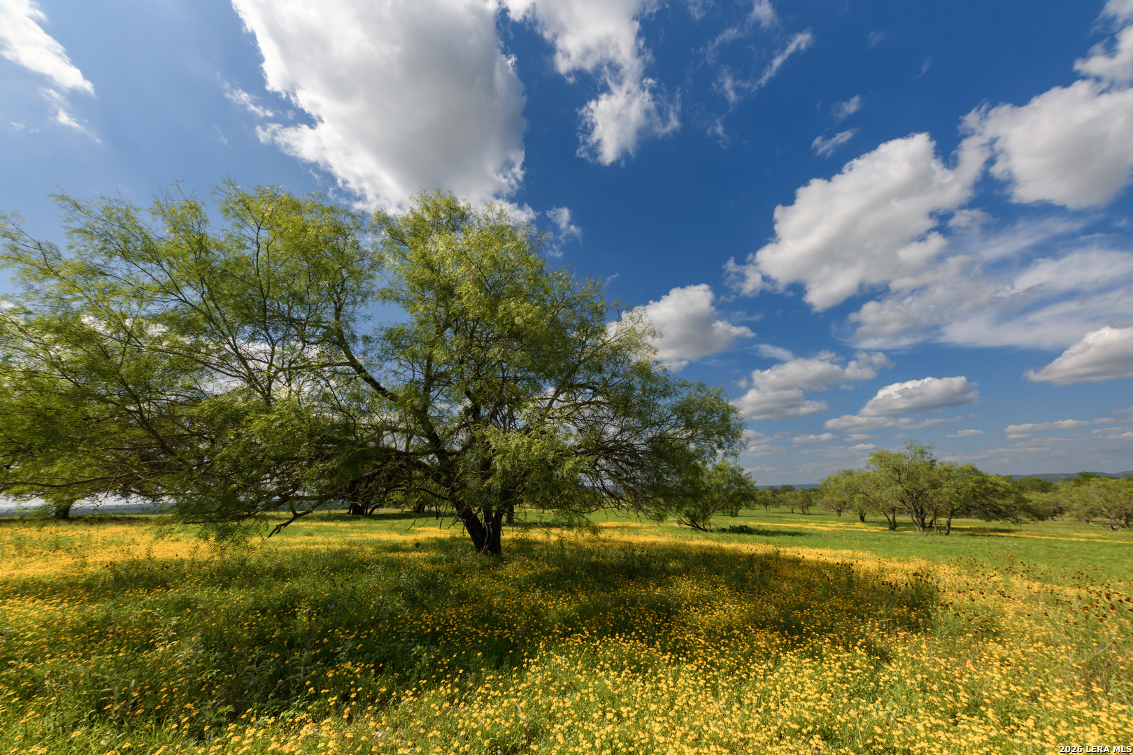 000 Clearwater Ranches 17