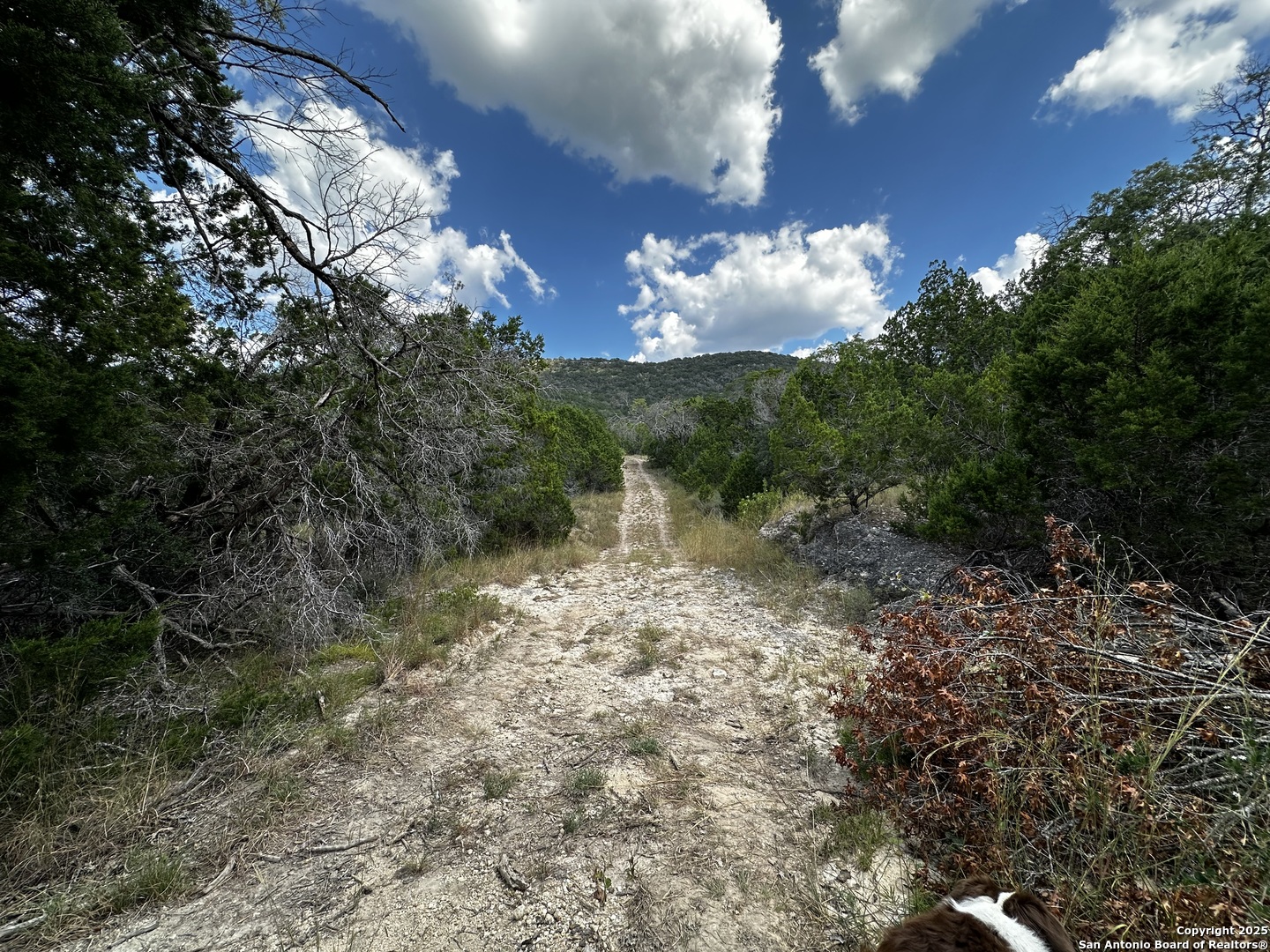 Utopia, Texas 78884, United States, ,Land,Active,188993