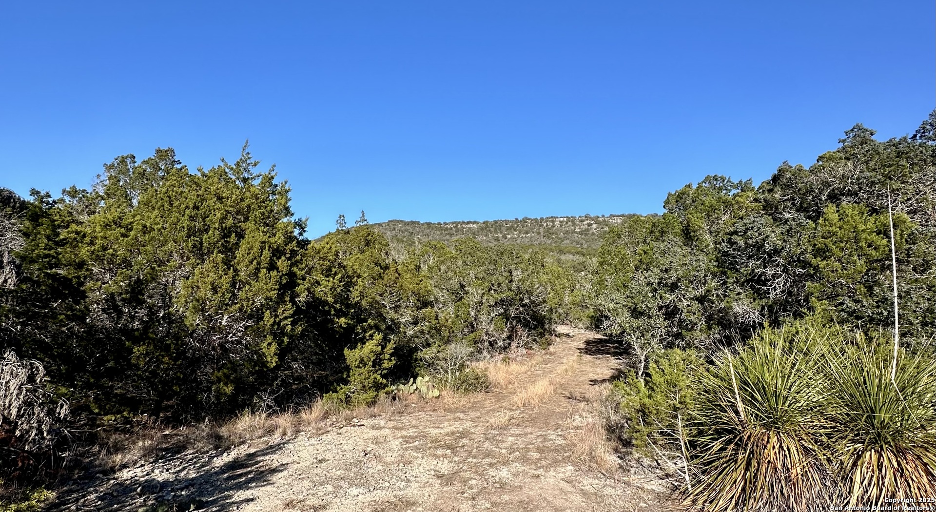 Utopia, Texas 78884, United States, ,Land,Active,188993