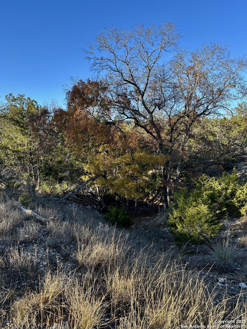 Utopia, Texas 78884, United States, ,Land,Active,188993