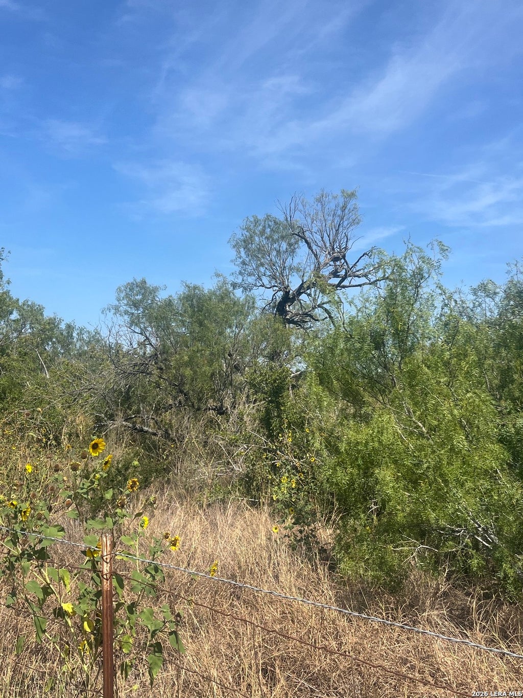 Photo of TBD Corgey Rd, Pleasanton, TX 78064 (MLS # 2011207)