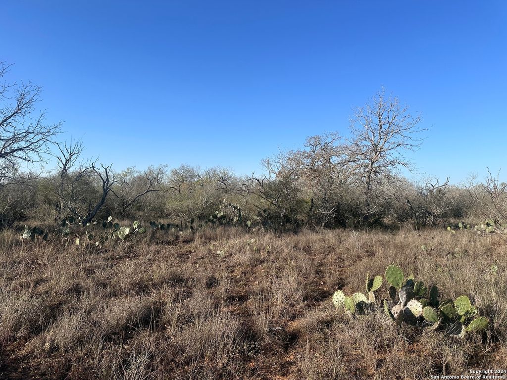 Photo of 5870 County Road 405, Floresville, TX 78114 (MLS # 1830487)