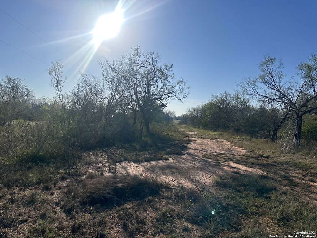 Photo of 5870 County Road 405, Floresville, TX 78114 (MLS # 1830487)