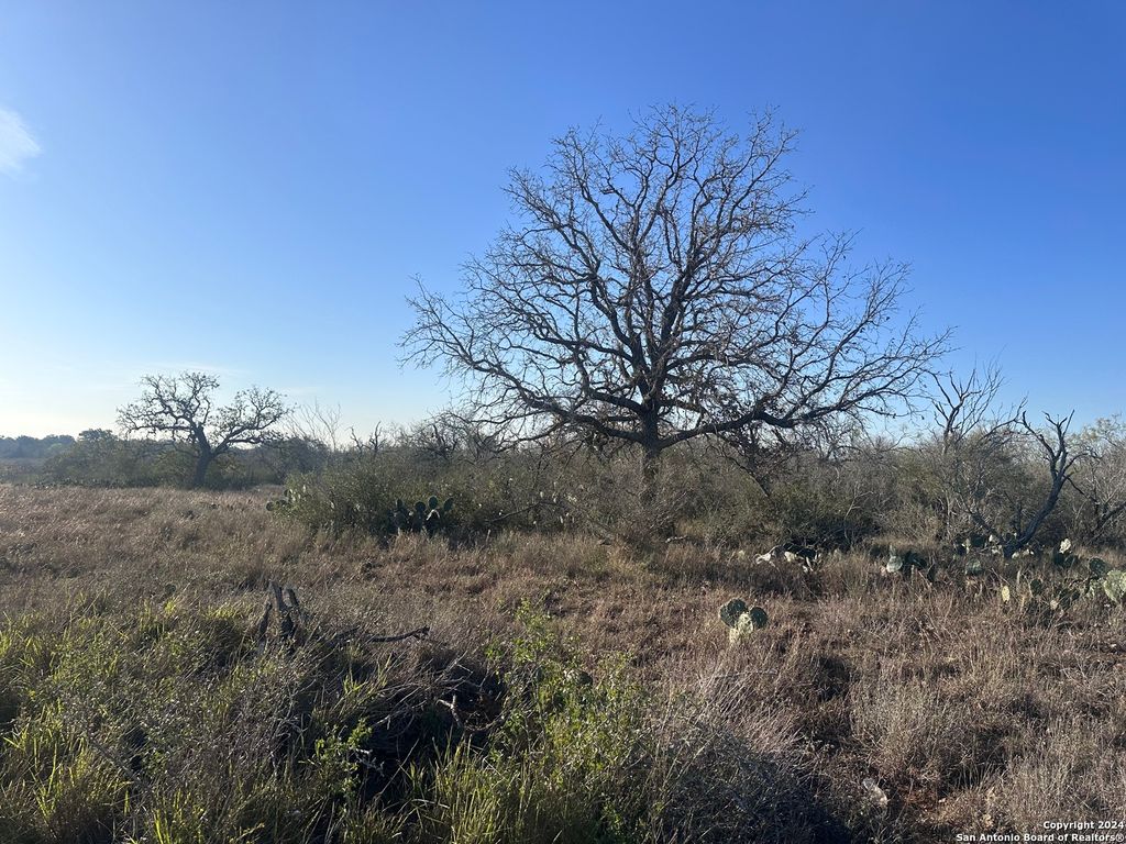 Photo of 5870 County Road 405, Floresville, TX 78114 (MLS # 1830487)