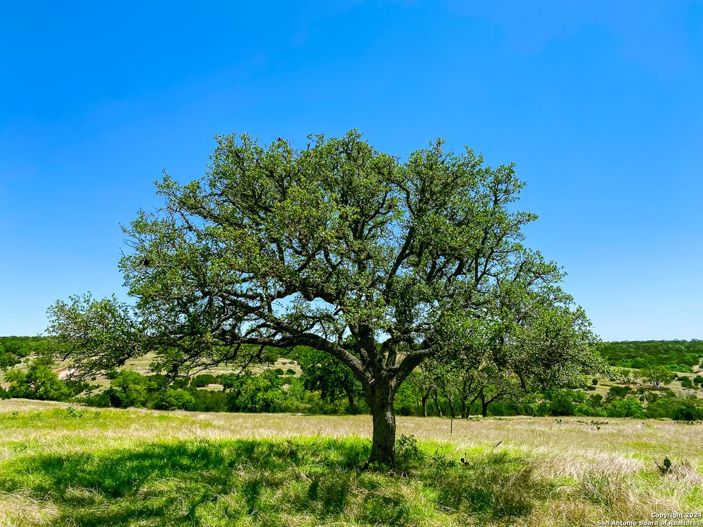 Photo of LOT 124 Loma Vista Ranch, Kerrville, TX 78028 (MLS # 1788105)