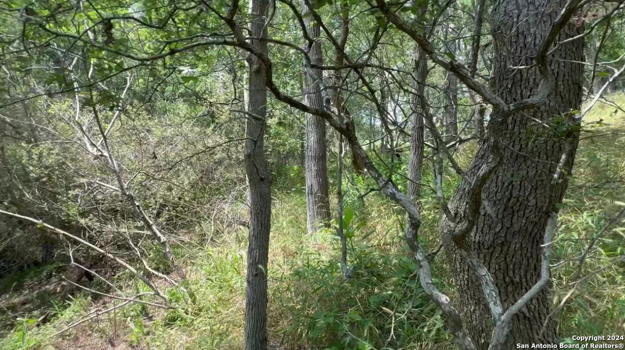 0 Kaukonahua Ln - LOT 650