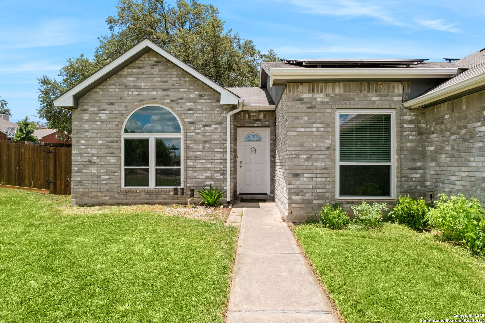 7801 Forest Dream