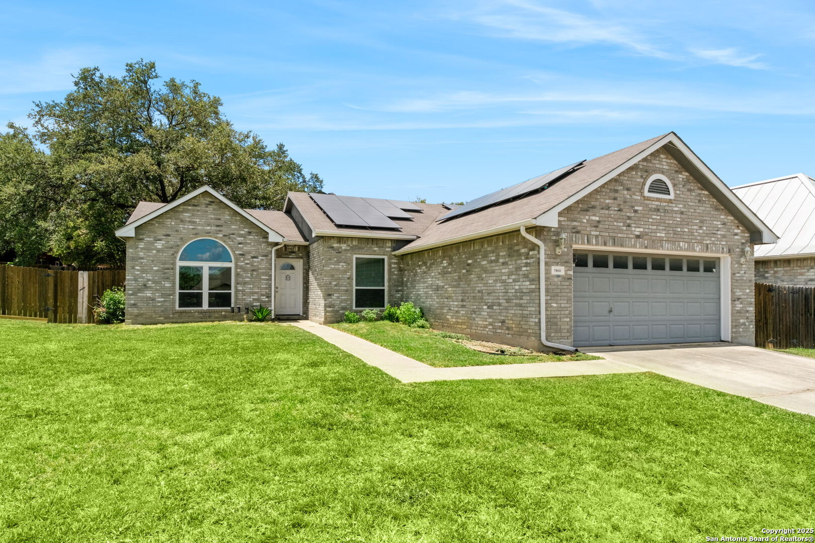 7801 Forest Dream