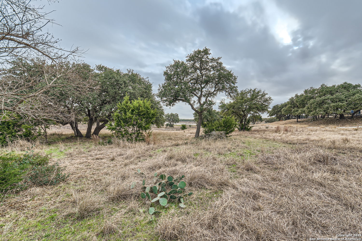 161 Mystic Shores