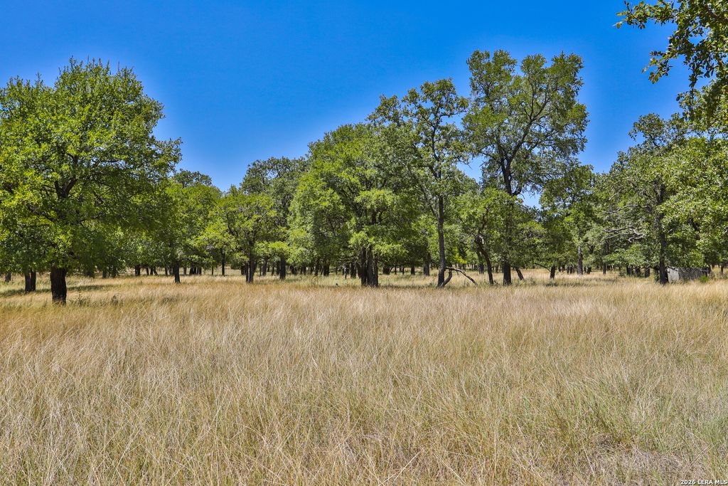 Photo of 32539 Tierra Robles, Bulverde, TX 78163 (MLS # 1938160)