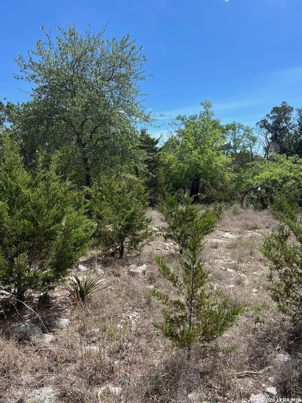 Photo of 12 Ledgestone Place, Boerne, TX 78006 (MLS # 1955812)