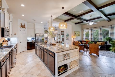 10627 Larch Grove Ct Helotes TX 78023