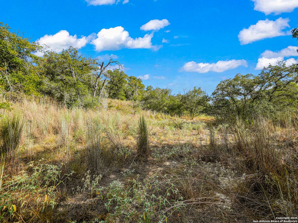 Photo of 914 Swallows Ln, Seguin, TX 78155 (MLS # 1911779)