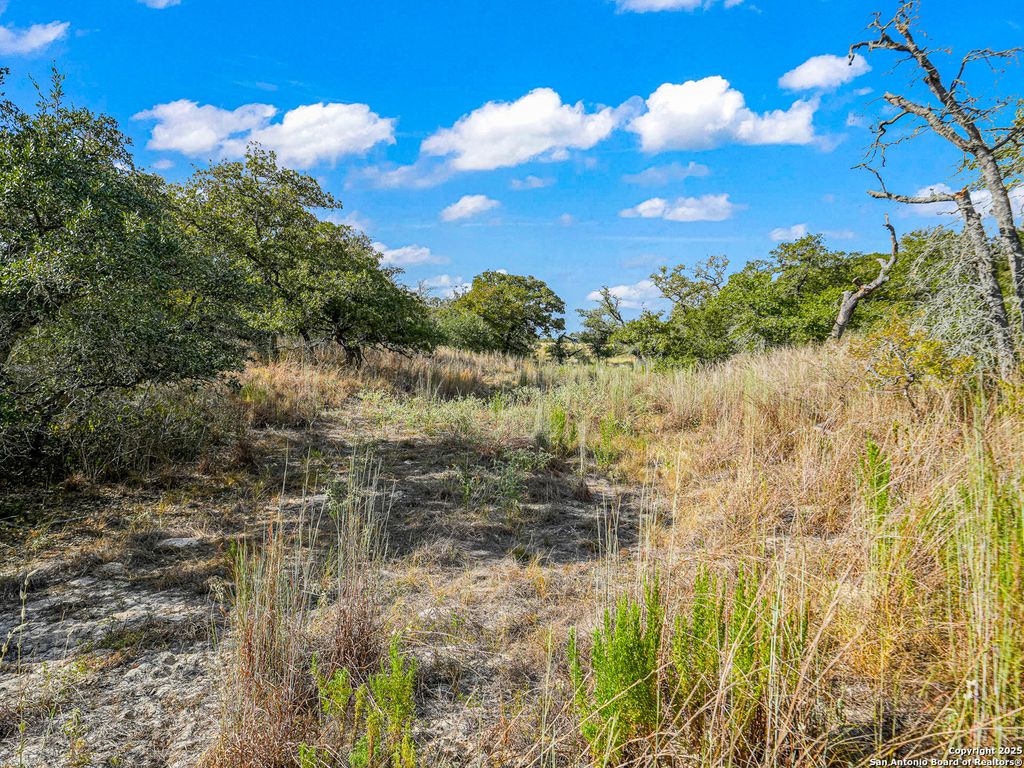 Photo of 914 Swallows Ln, Seguin, TX 78155 (MLS # 1911779)