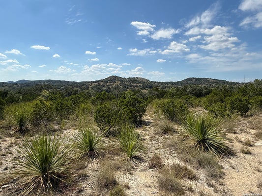 22073 SCENIC LOOP RD, SAN ANTONIO, TX 78255 - Image dd7dfa3bd5830b3af07faabbb2b121a1/3579903421