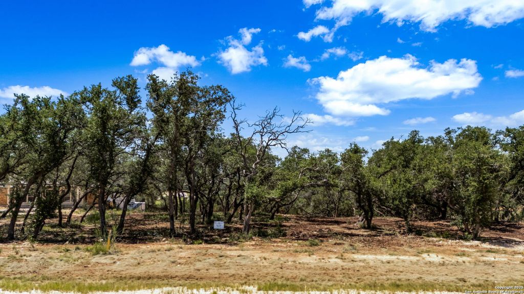 Photo of 681 Travis Forest, Bulverde, TX 78163 (MLS # 1884887)