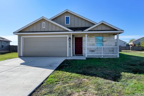 2658 Pechora Pipit New Braunfels TX 78130