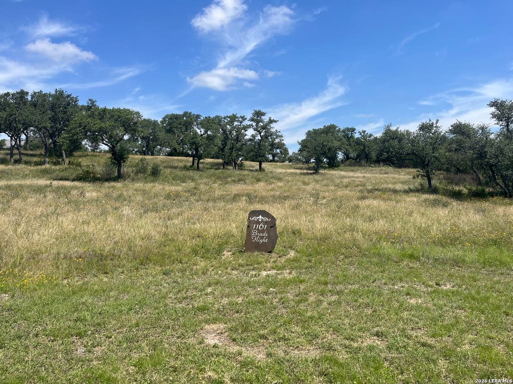 Photo of 1161 Brads Flight, Canyon Lake, TX 78133 (MLS # 1953478)