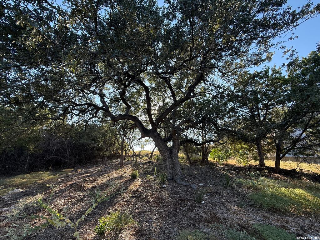 Photo of 8004 Arbor Vlg, Boerne, TX 78015 (MLS # 1951309)