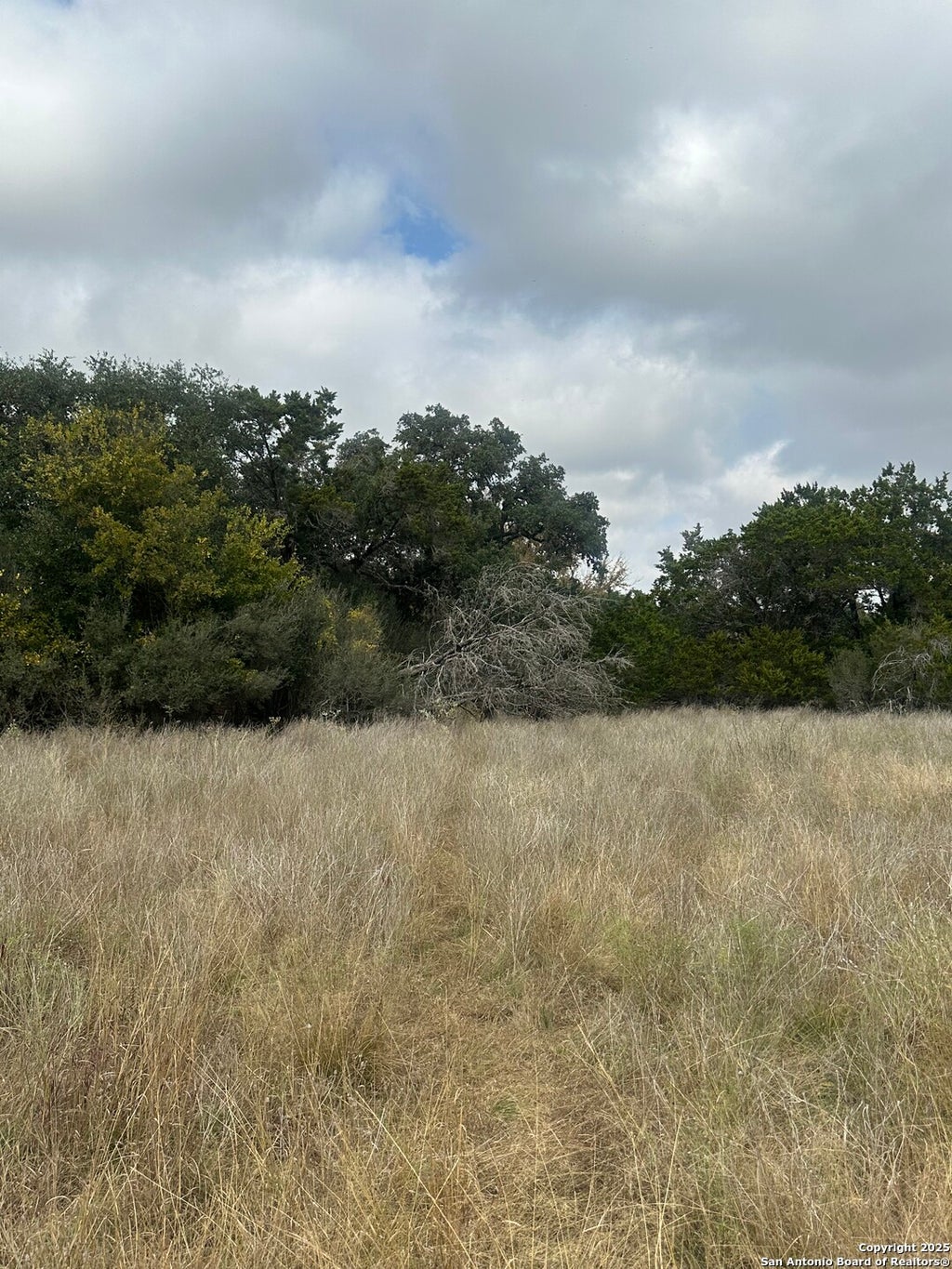 Photo of 277 Creekwood, Bandera, TX 78003 (MLS # 1927226)