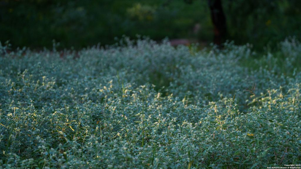 Photo of 000 Leal Road, Pleasanton, TX 78064 (MLS # 1871047)