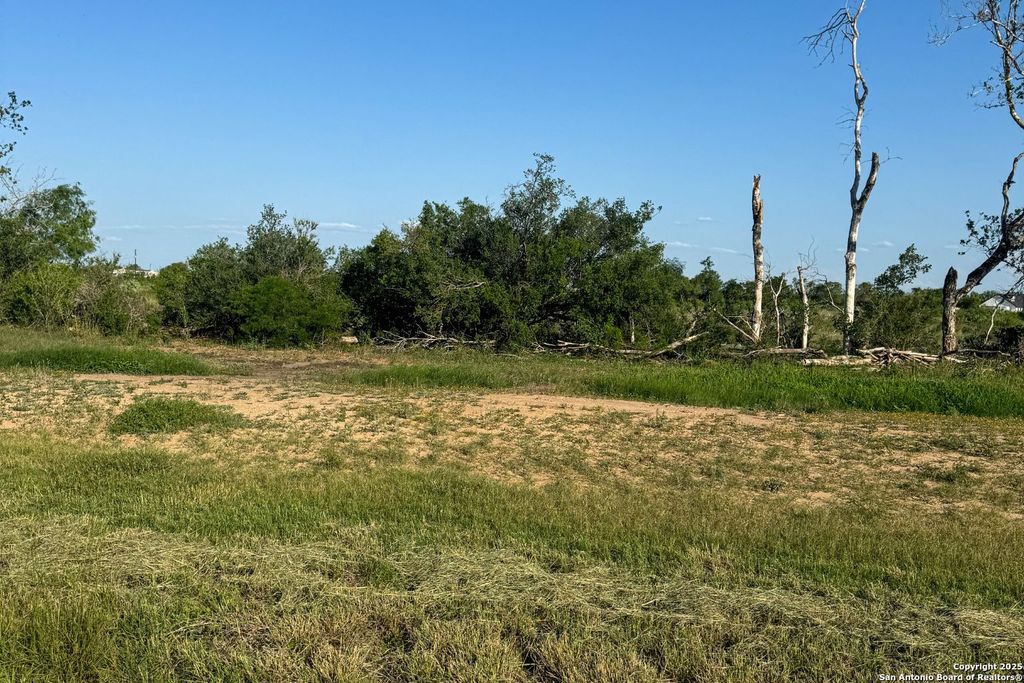 Photo of 00 CR 7714, Lot 3, Devine, TX 78106 (MLS # 1865137)