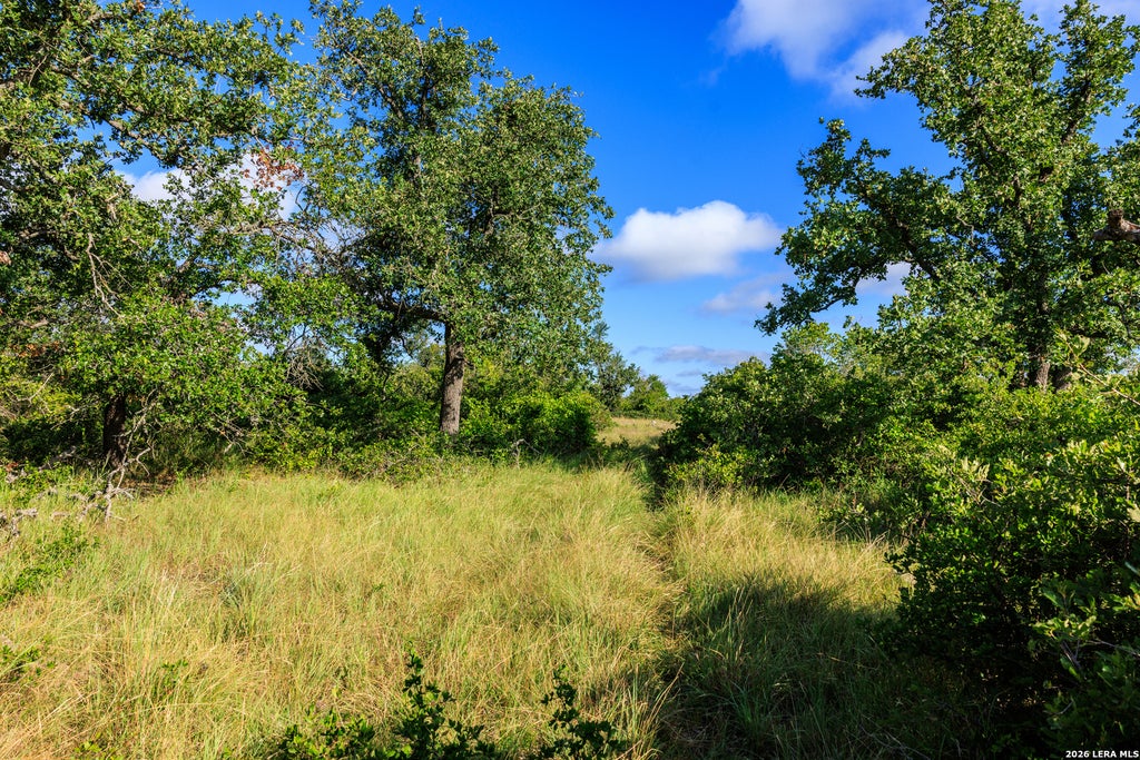 Photo of 875 Gypsum Mine Road, Fredericksburg, TX 78624 (MLS # 2002242)
