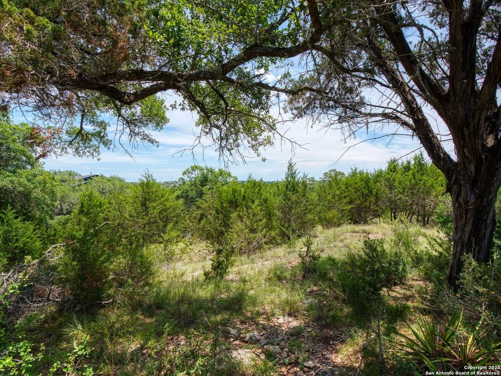 Photo of 114 Oyster, Canyon Lake, TX 78133 (MLS # 1875372)