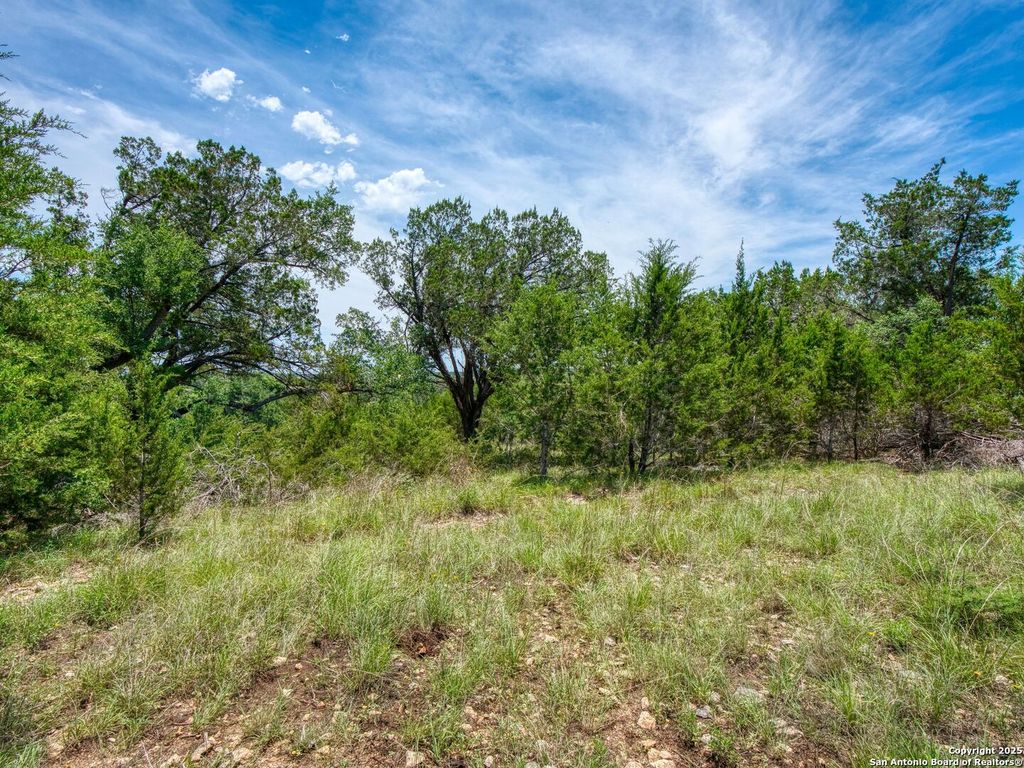 Photo of 114 Oyster, Canyon Lake, TX 78133 (MLS # 1875372)