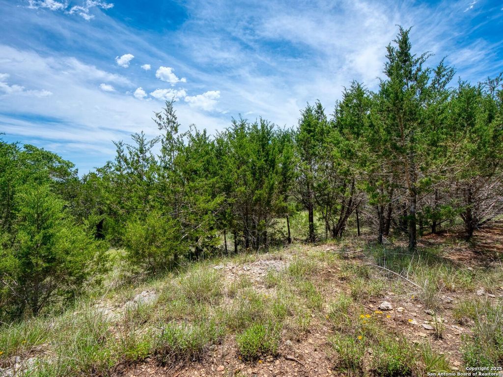 Photo of 114 Oyster, Canyon Lake, TX 78133 (MLS # 1875372)