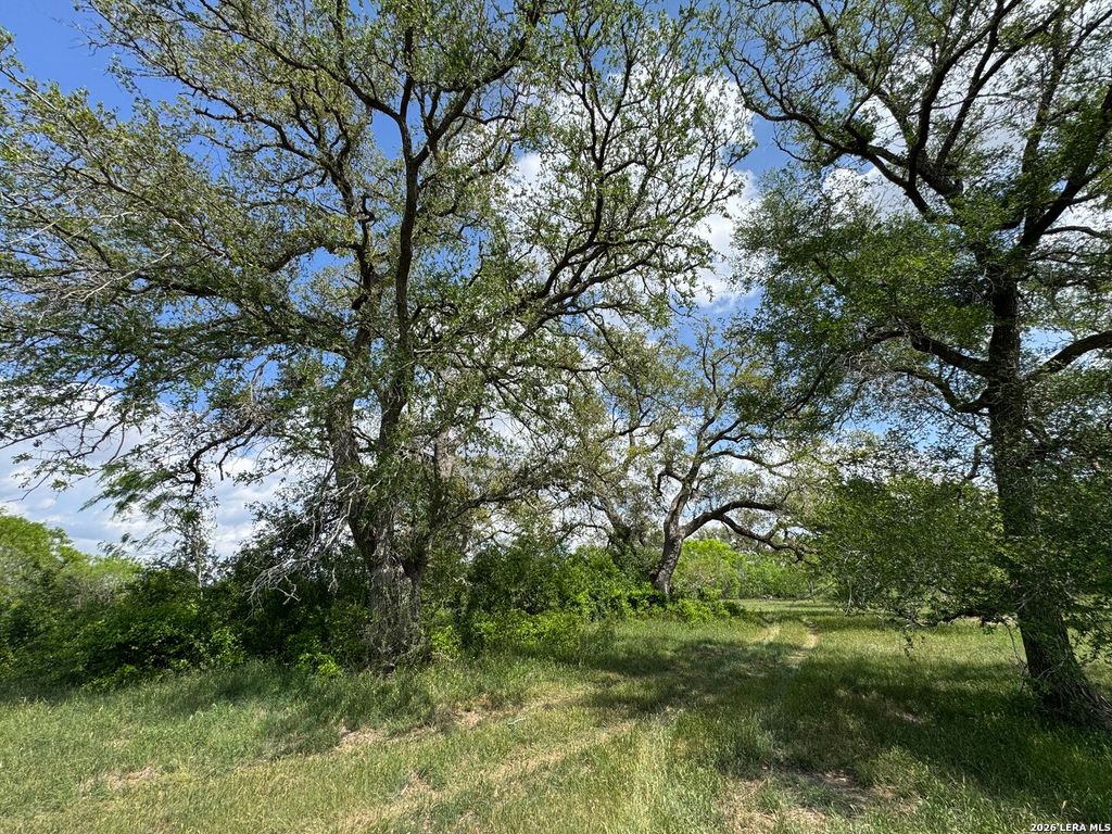 Photo of 1110 Hartfield Road, Seguin, TX 78155 (MLS # 1961516)