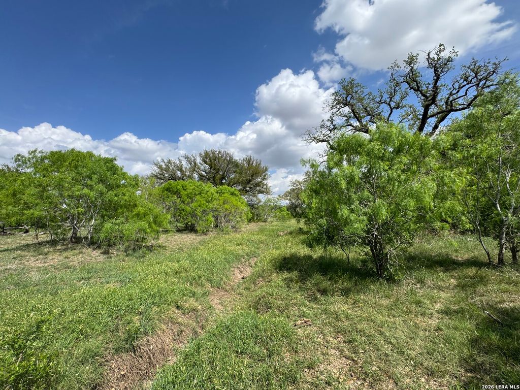 Photo of 1110 Hartfield Road, Seguin, TX 78155 (MLS # 1961516)