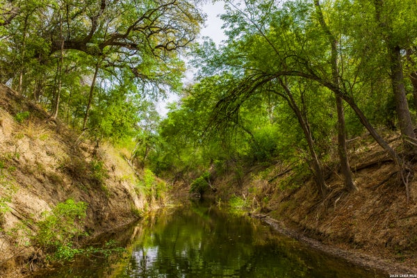 994 MARBURGER RD, CRYSTAL CITY, TX 78839 - Image e41d8d5e97b020d973015c07e1f34da8/2752387764