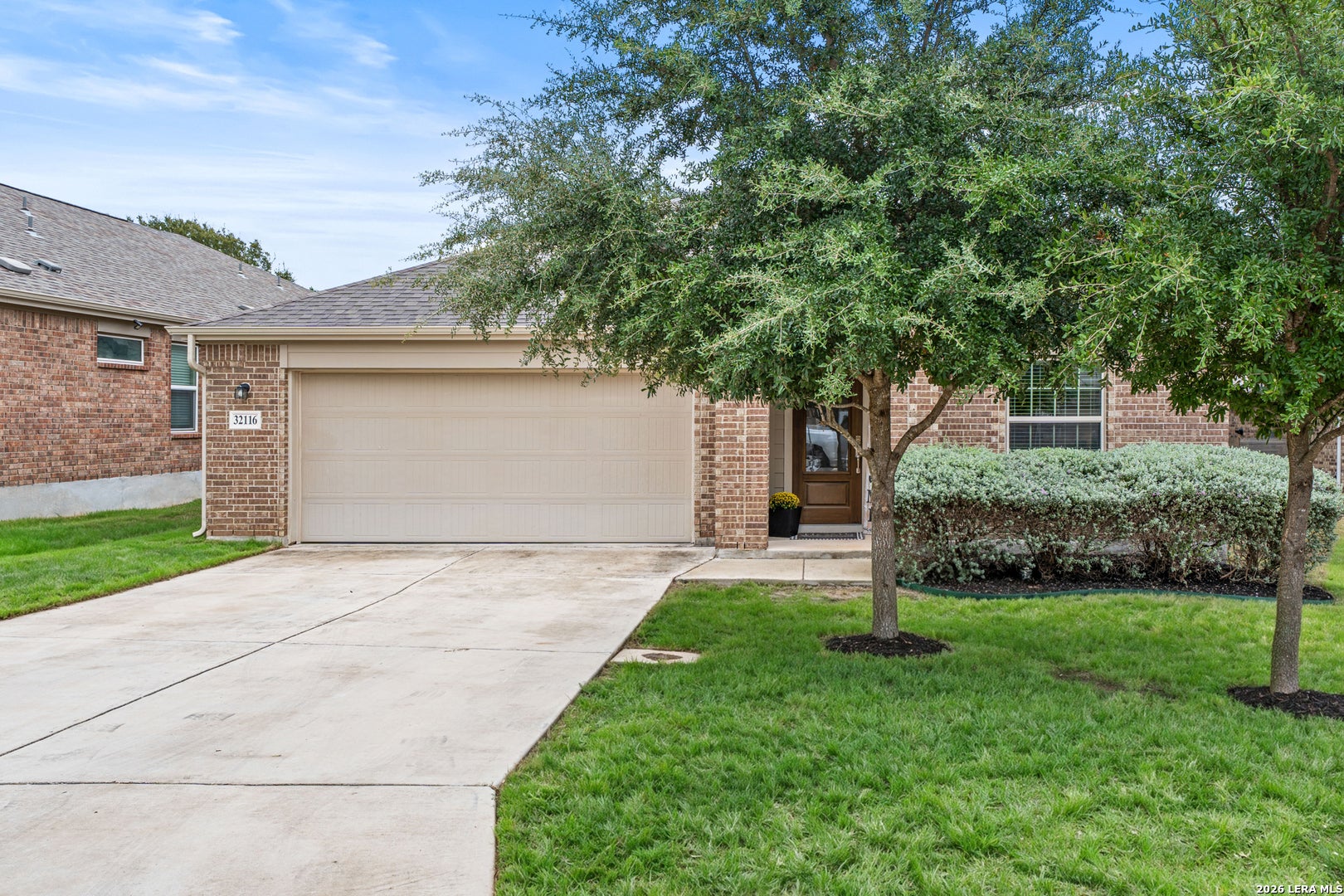 32116 CAMELLIA BND
