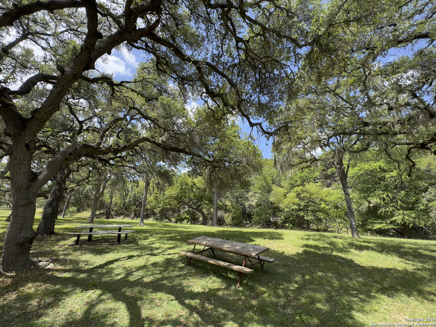 1431 cedar grove